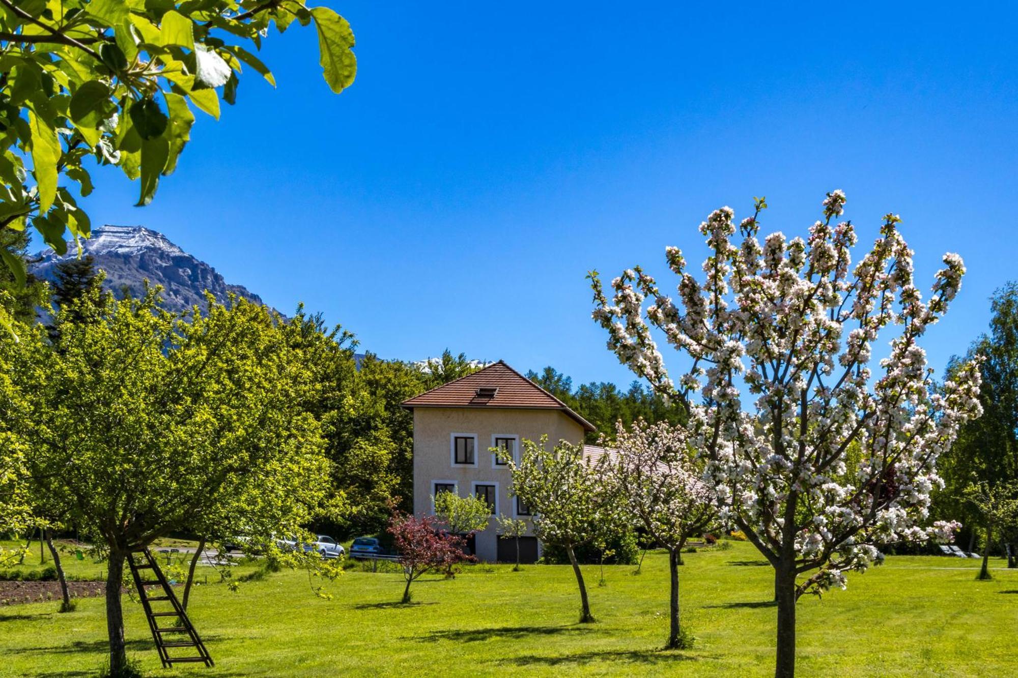 "La Combe Fleurie" Appartements & Chambres Saint-Bonnet-en-Champsaur Buitenkant foto